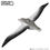 Thumbnail: Royal Albatross - EUGY 3D Cardboard Model Kit