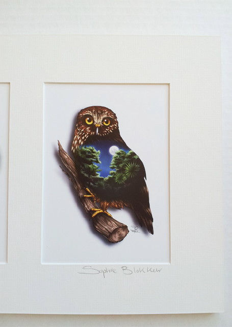 Thumbnail: Mounted Trio Nocturnals Natives - Sophie Blokker