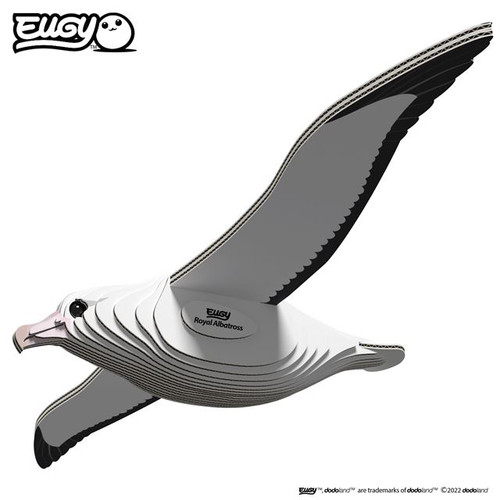 Royal Albatross - EUGY 3D Cardboard Model Kit | raku.co.nz
