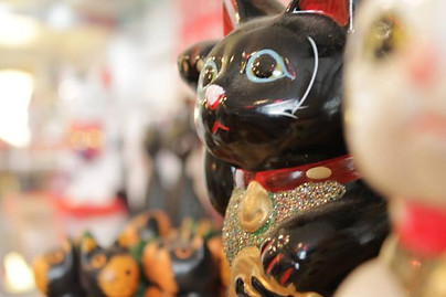 lucky cats manekineko