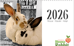 2026 cover.PNG
