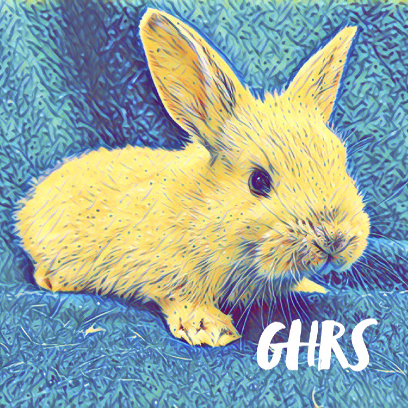 Bonding Rabbits | ghrs - Georgia House Rabbit Society
