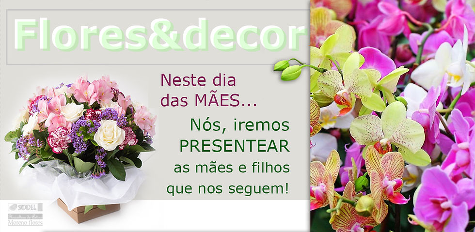 banner FLORES