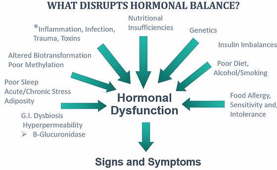 What disrupts Hormonal Balance.webp