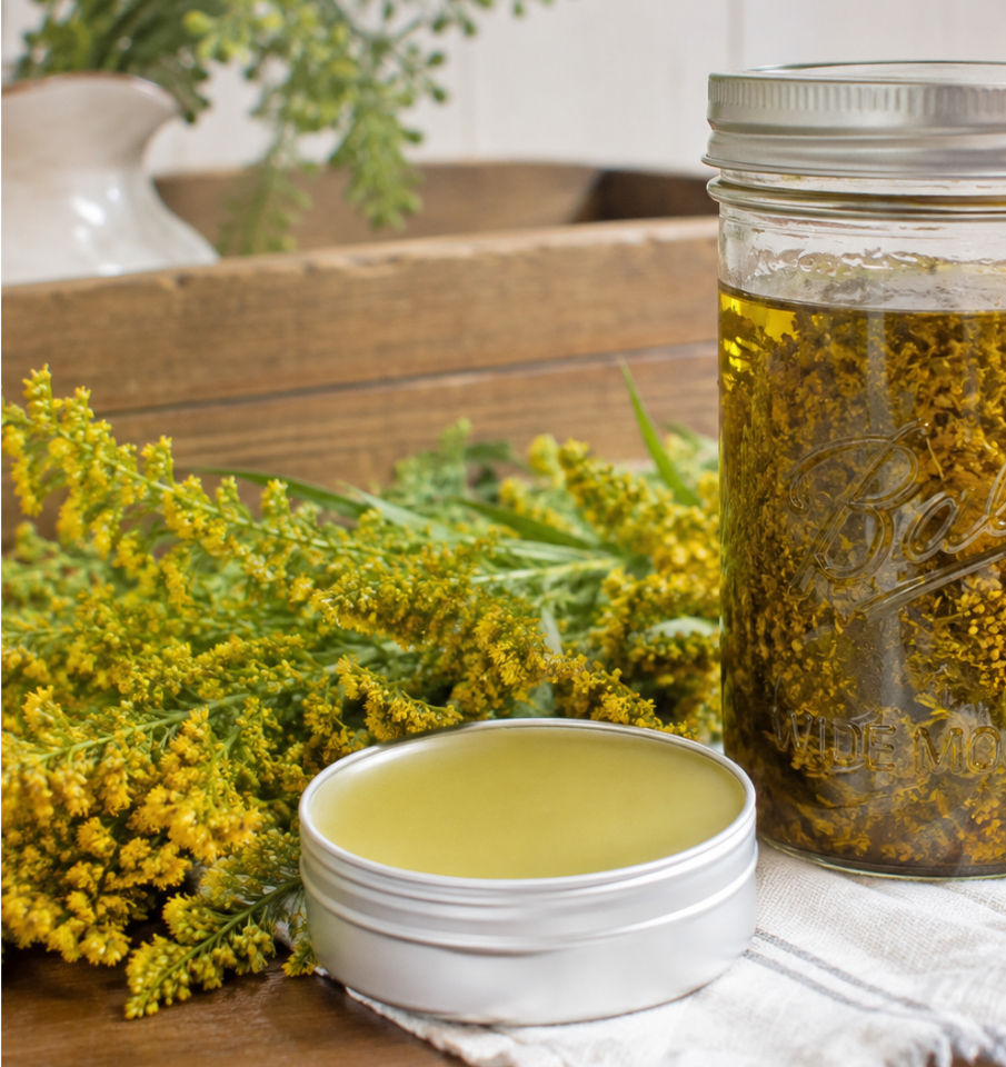 goldenrod