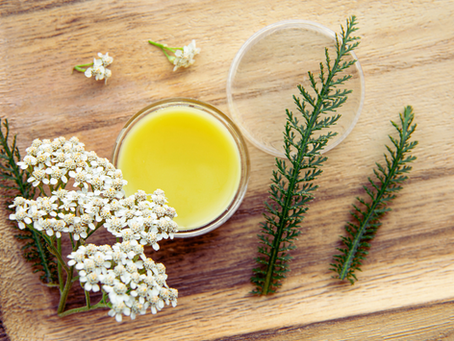 Yarrow Salve