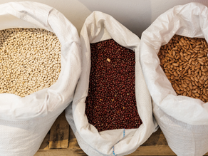 How to Pest-Proof Your Pantry & Bulk Goods