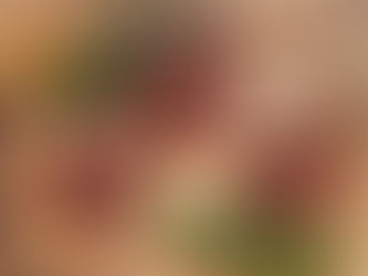 The BEST Homemade Greek Burgers