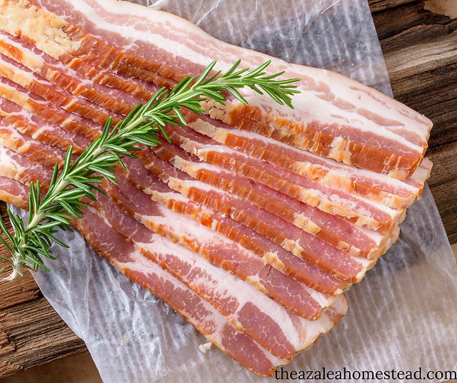 bacon