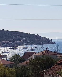 20190811_092034.jpg