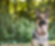 Untitled design (48).png