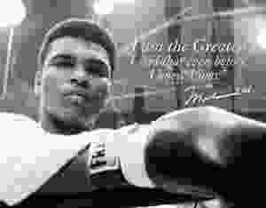 Ali 8