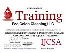 IJCSA-Bloodborne-Certificate-b.jpg