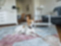 Gutshaus Neu Necheln-Urlaub mit Hund-Ferienwohung Mecklenburg Vorpommern_edited.jpg