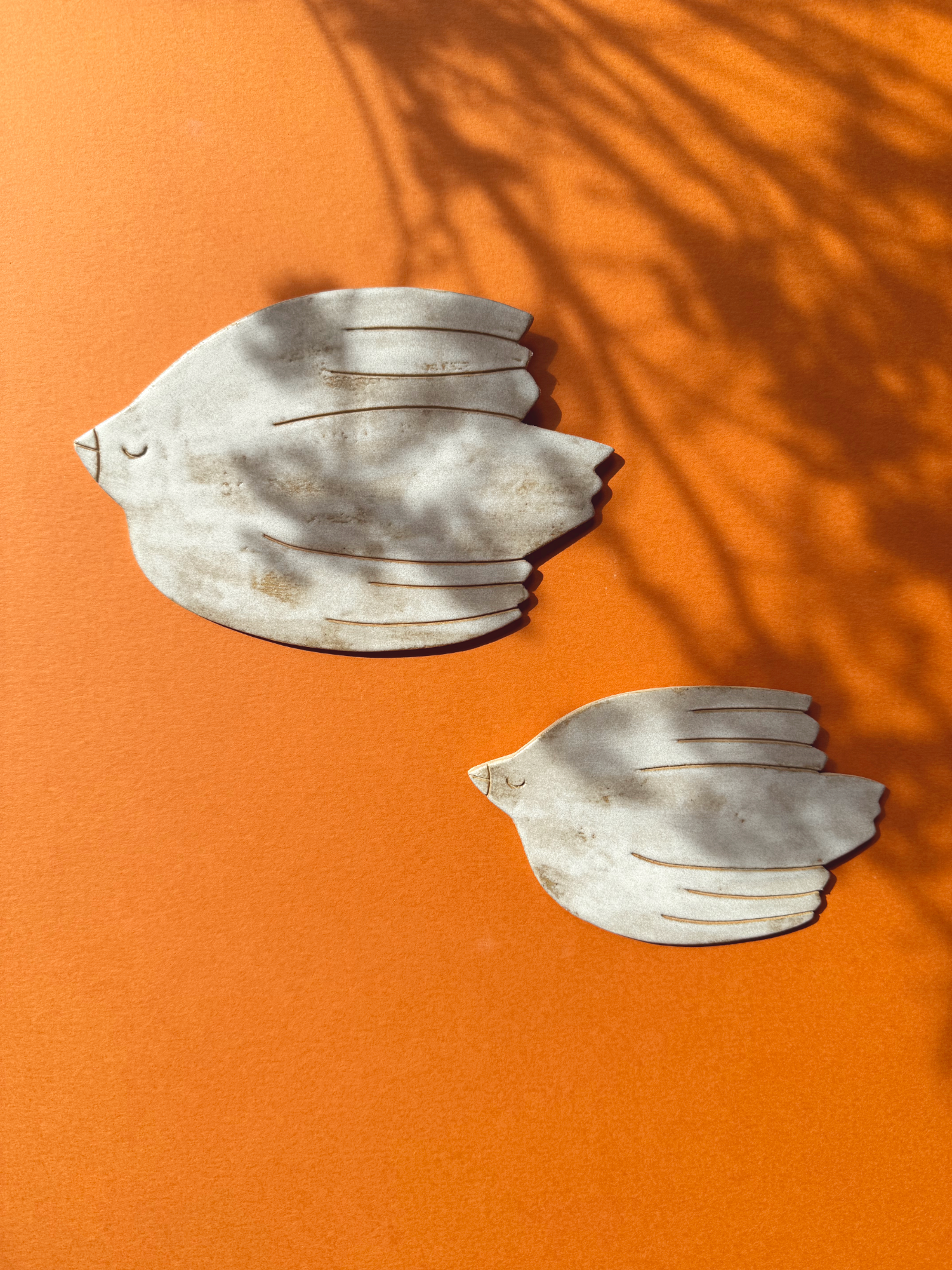 Ptáče na stěnu - dva druhy