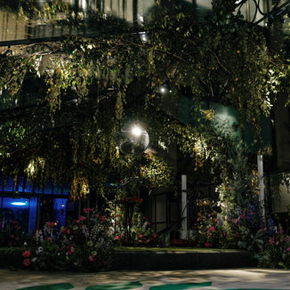 Orchard Place Launch