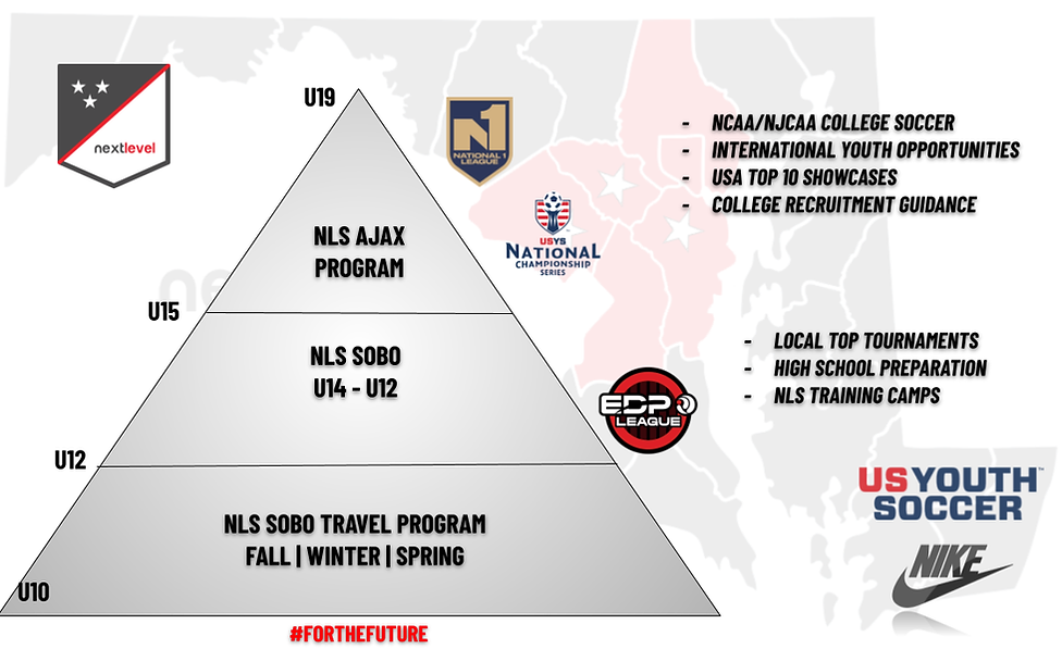 New NLS CLUB STRUCTURE-2.png
