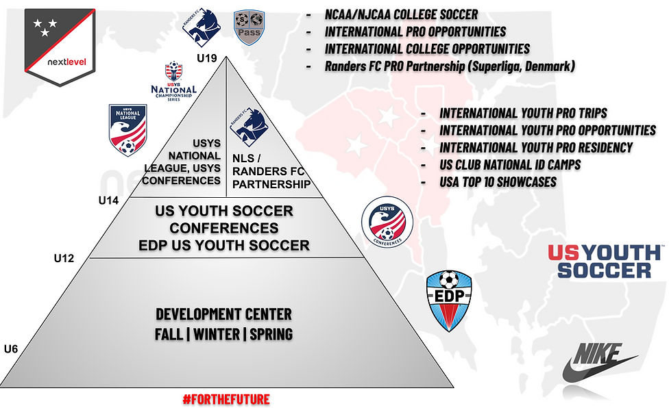 NLS CLUB STRUCTURE 25-26.png