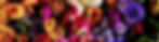 WIX_260617__TK_132_4_EBI6932.JPG
