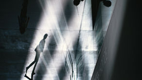 'Being in my Brother's "Shadow"' by Bethany Logronio