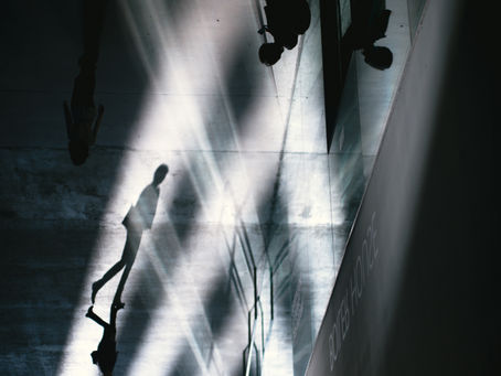 'Being in my Brother's "Shadow"' by Bethany Logronio