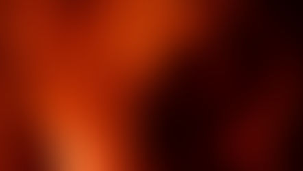 Photography by Jabrih Law