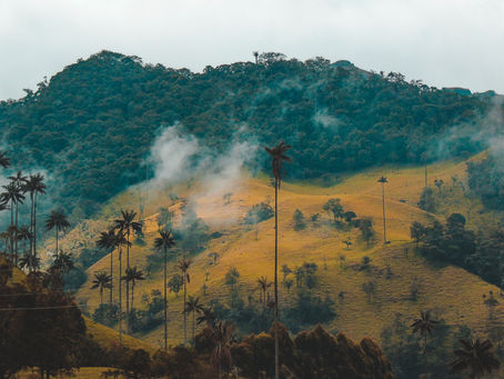 Two Poems from Gerardo Salas