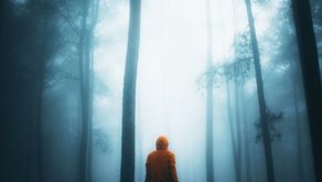 'Forest of Memories' by Olivia Zuern