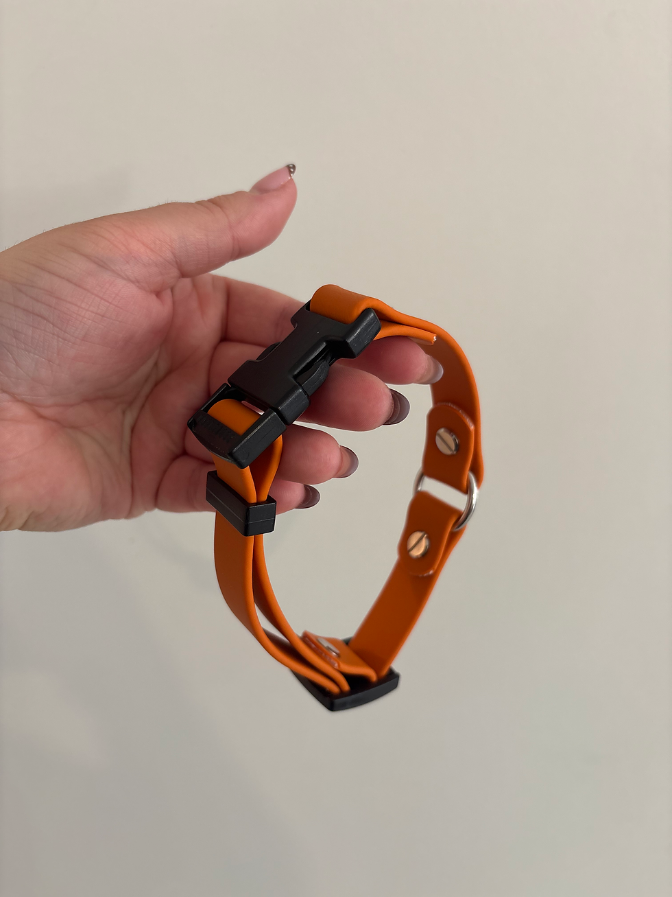 Miniature : Collier porte médaille en BioThane