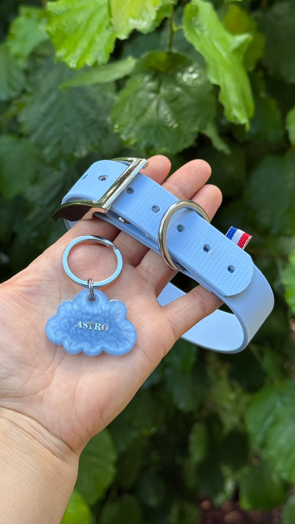 Pack - Bleu polar