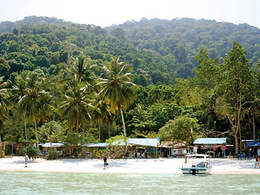 Monkey Beach.png