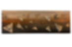 Occasus Solis