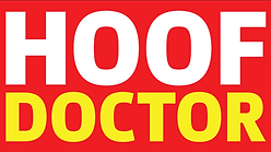 Screenshot 2026-03-22 at 10.28.16 PM.png