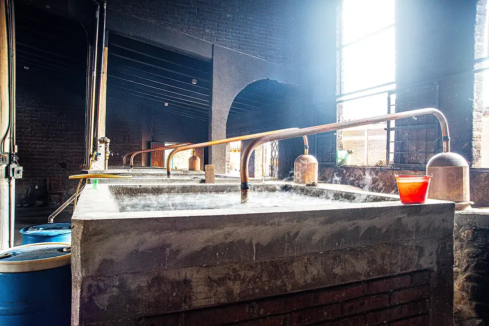 Thumbnail: Fidencio Madrecuixe