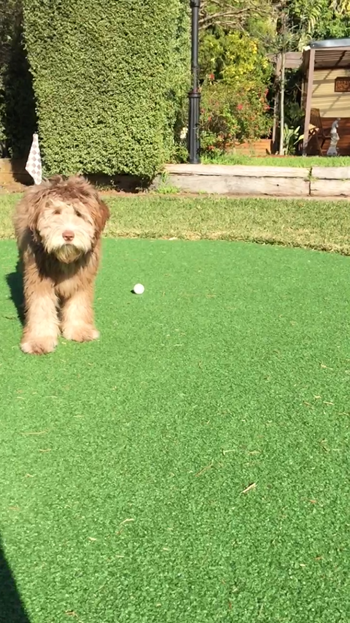 Huxley in Melbourne