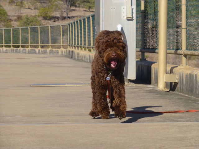 Charley in Townsville