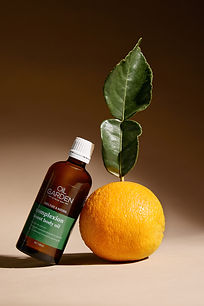 2024-12-16_Oil Garden1304.jpg