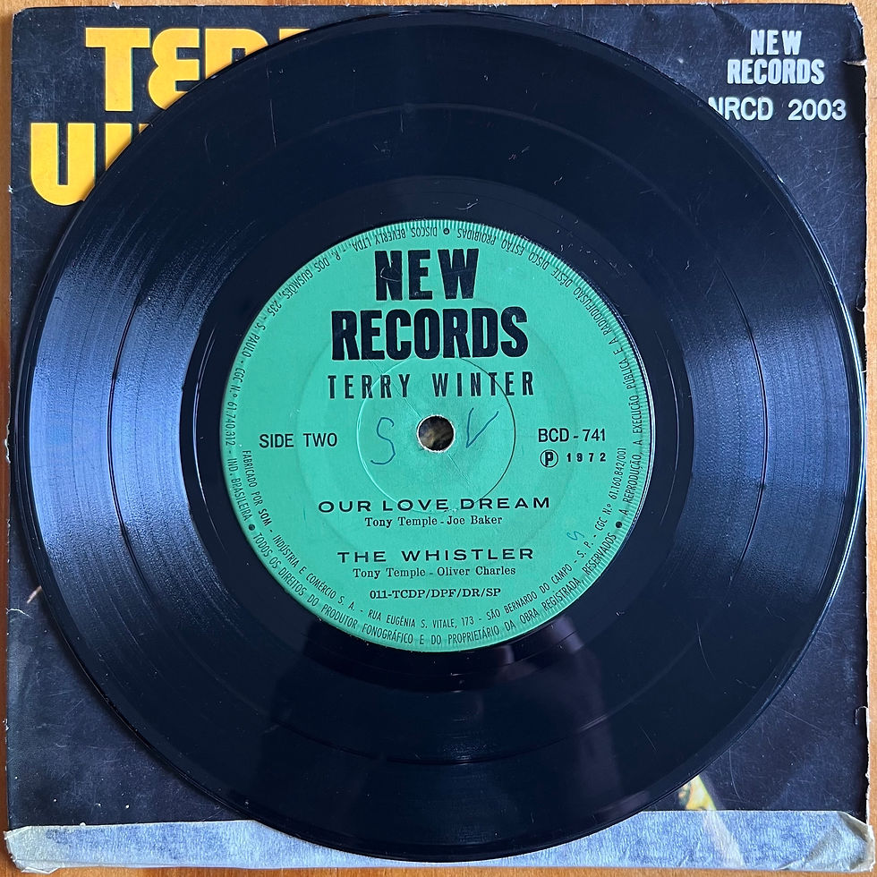 Miniatura: 7" Terry Winter - I Know - New Records (1972)