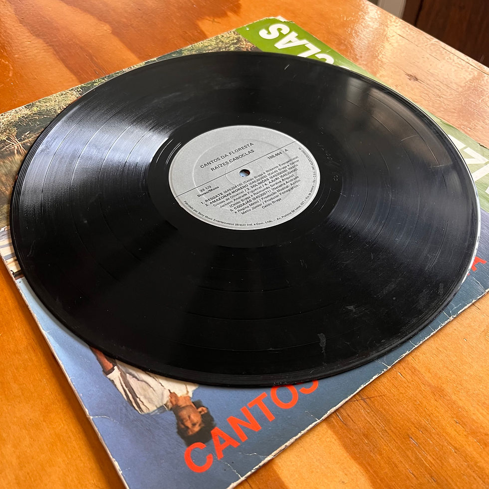 Miniatura: LP Raízes Caboclas - Cantos Da Floresta (1992)