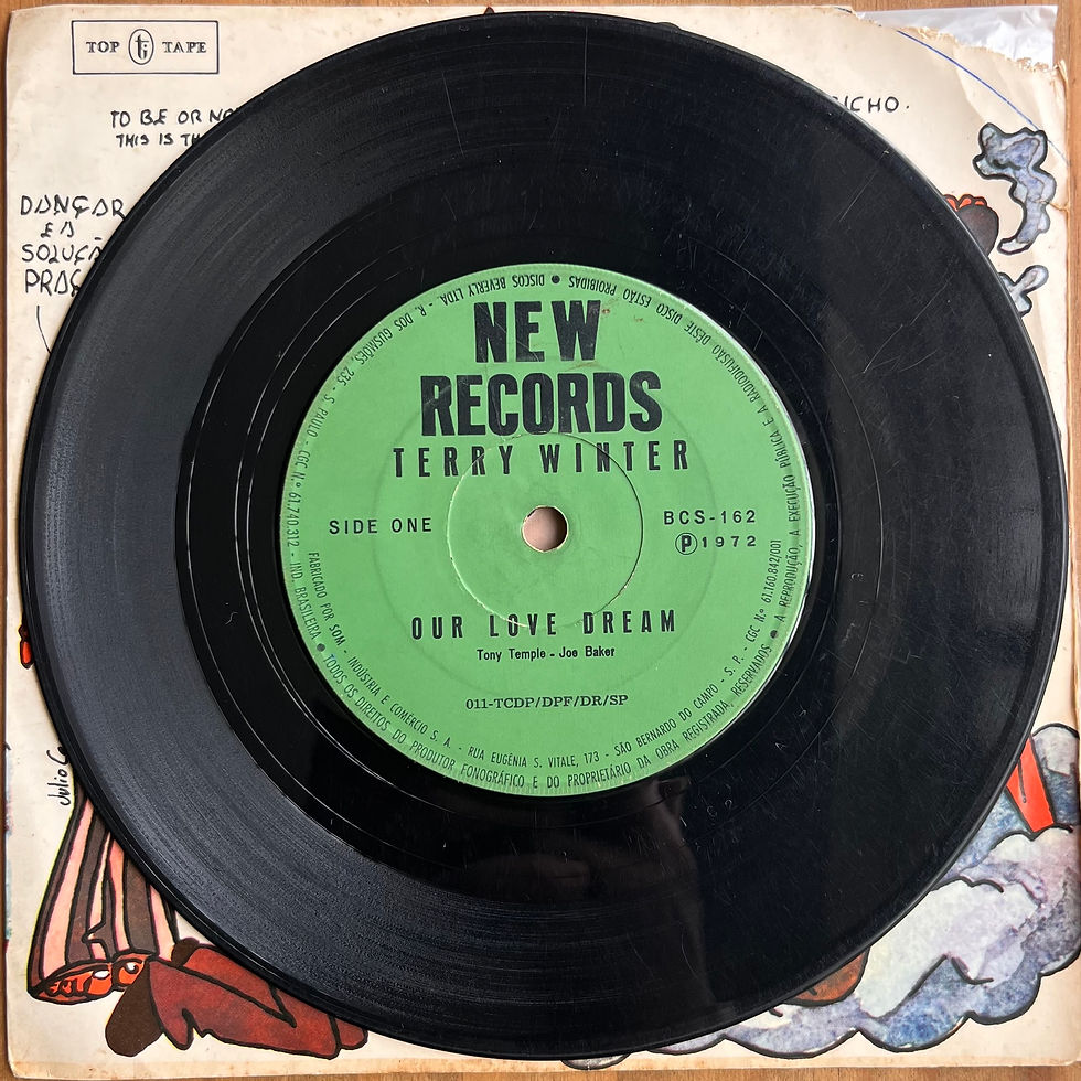 Miniatura: 7" Terry Winter - Shadow Dark And Blue (1972) #2