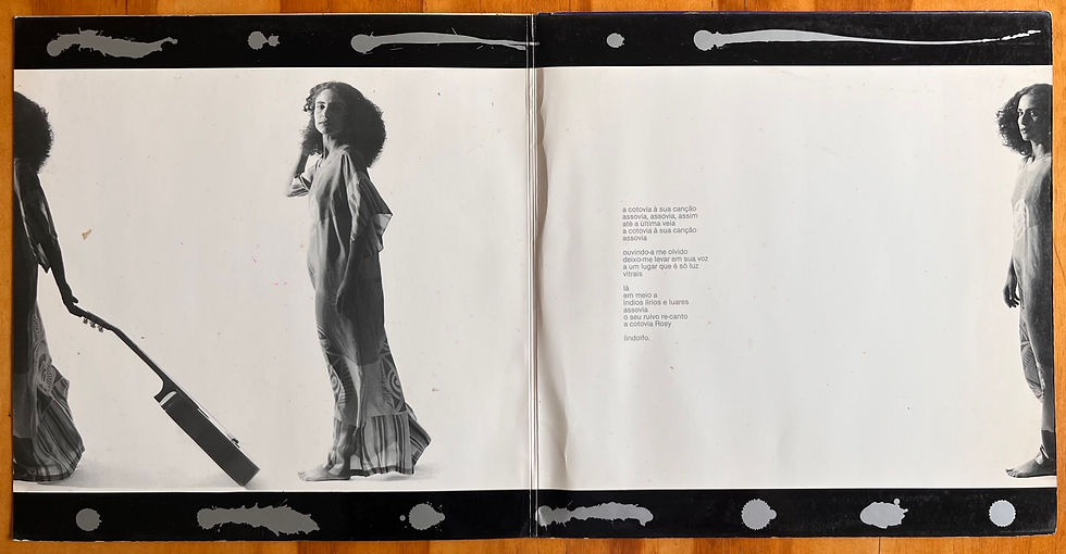 Miniatura: LP Rosy Greca - Vitrais (1986)
