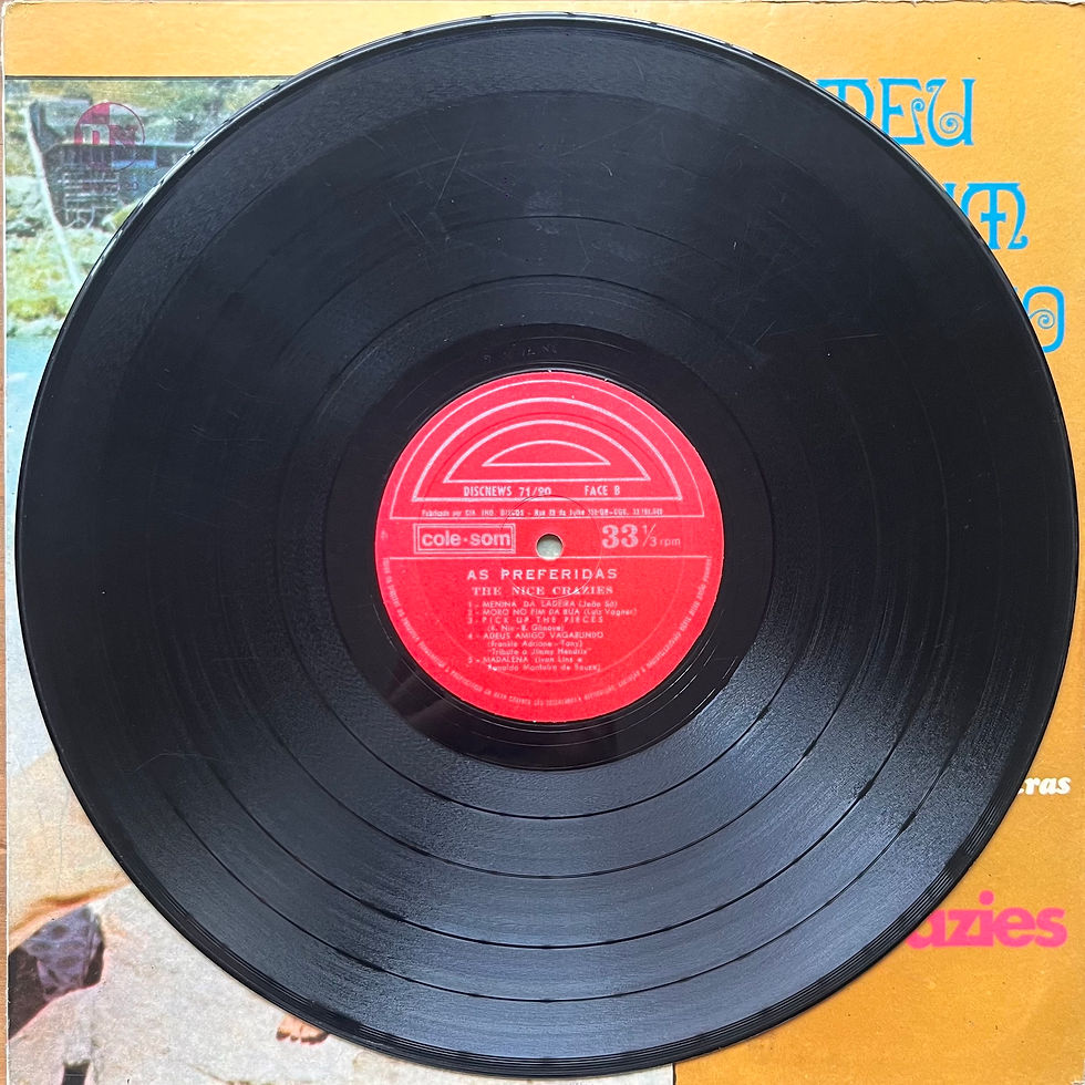 Miniatura: LP The Nice Crazies - Meu Album Favorito (1971)