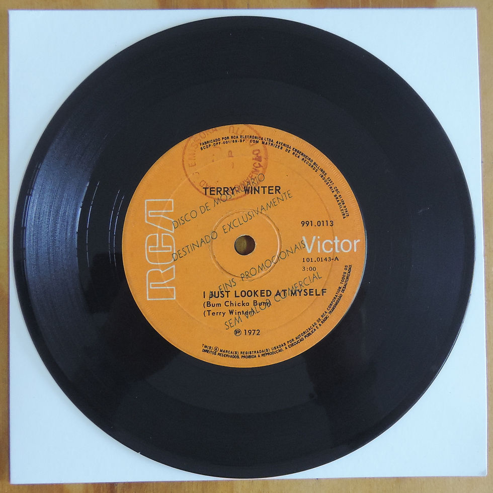 Miniatura: 7" Terry Winter - I Just Looked At Myself (1972)