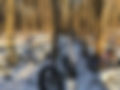 IMG_1721.jpeg