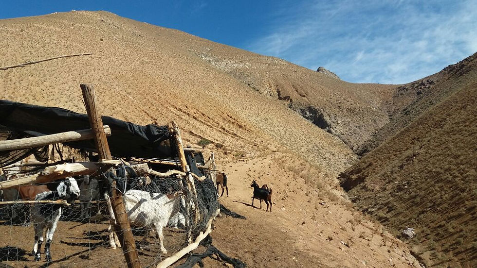 Turismo El Quijote