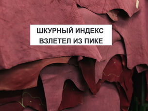 ШКУРНЫЙ ИНДЕКС ВЗЛЕТЕЛ ИЗ ПИКЕ