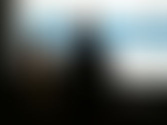 В Москве 1 октября сего года состоялась конференция Palisade "Количественная оценка рисков и п