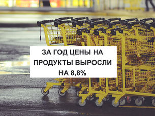 ЗА ГОД ЦЕНЫ НА ПРОДУКТЫ ВЫРОСЛИ НА 8,8%
