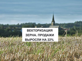 ВЕКТОРИЗАЦИЯ ЗЕРНА. ПРОДАЖИ ВЫРОСЛИ НА 22%  
