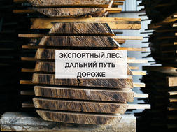 ЭКСПОРТНЫЙ ЛЕС. ДАЛЬНИЙ ПУТЬ ДОРОЖЕ